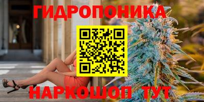 шишки Апшеронск